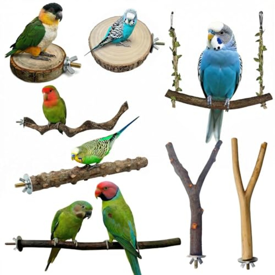 8PCS natural wood bird perches - огляд і ціна Health & Wellness Tourism